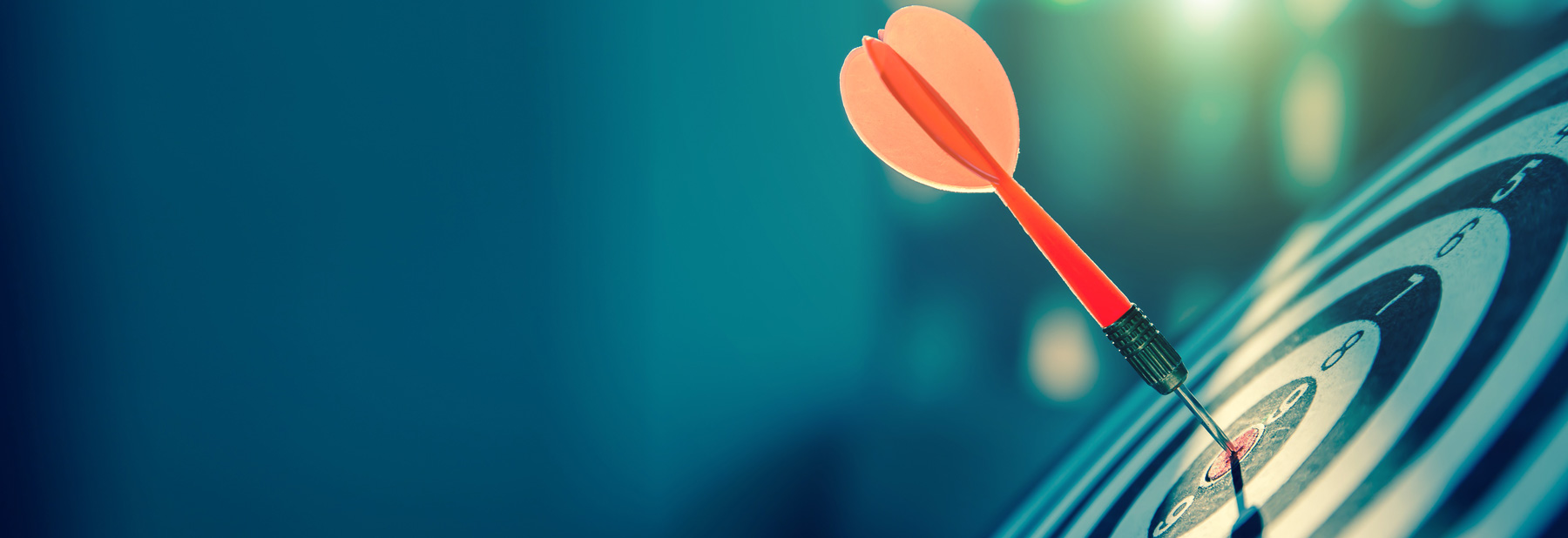dart on target business focus